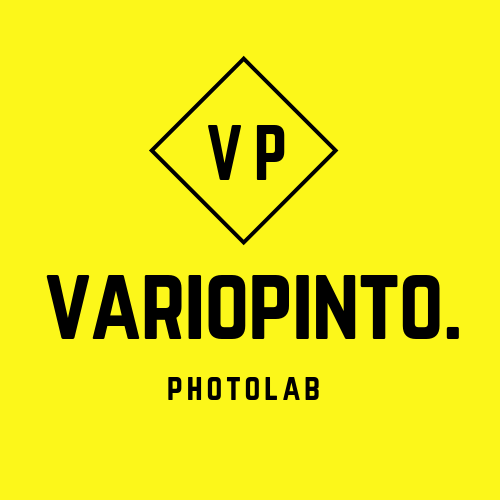 VarioPinto Photolab