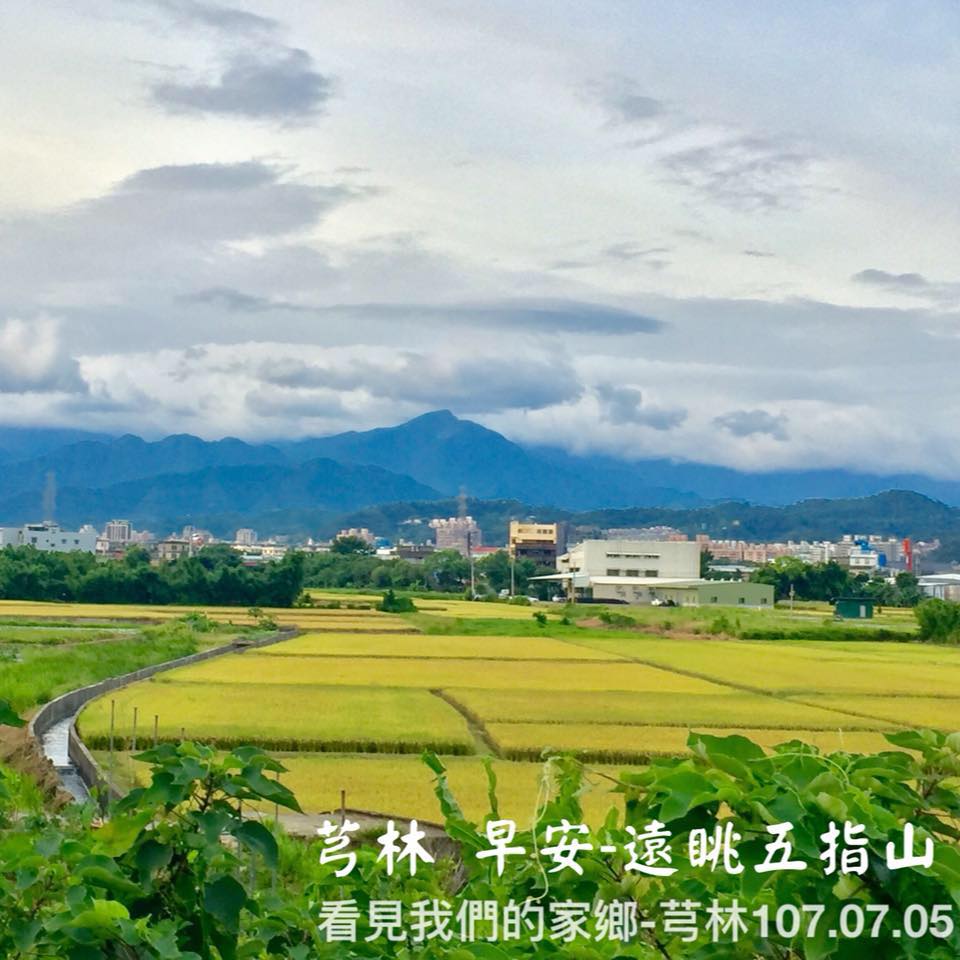 看見我們的家鄉芎林