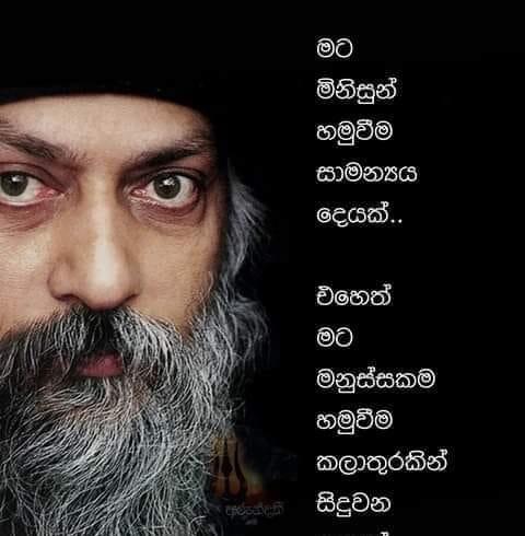 Dilan Rathnayake