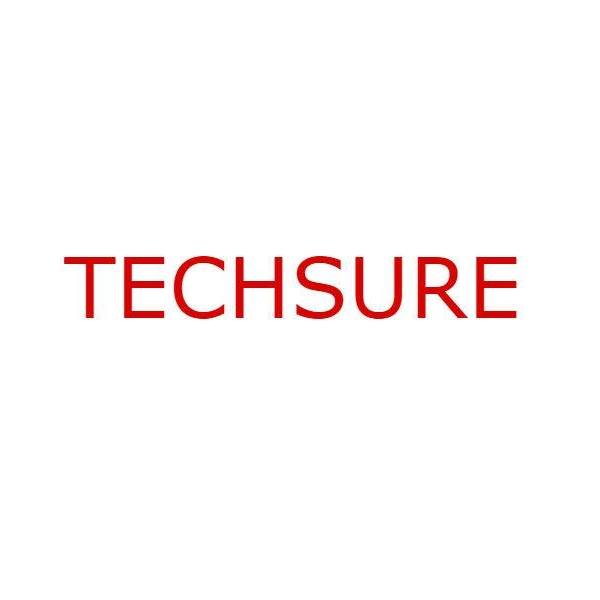Techsure
