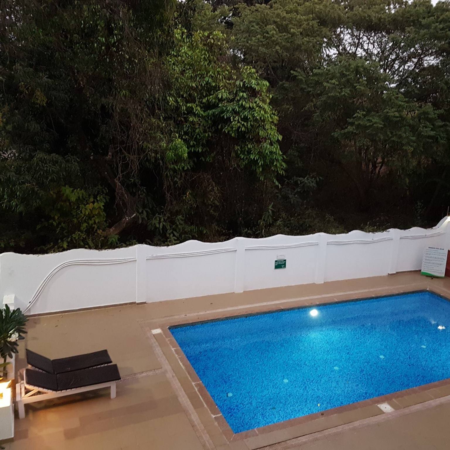 Colibri - Humming Wood, Goa | Mumbai