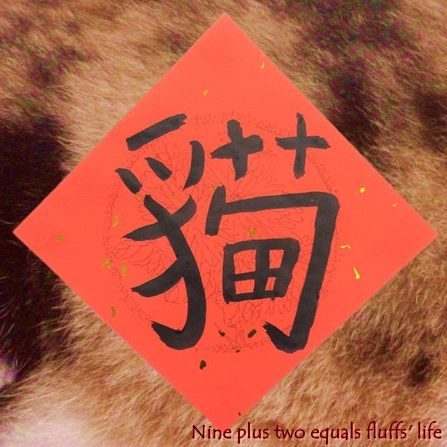 九加二的毛日子。Nine plus two equals fluffs' life