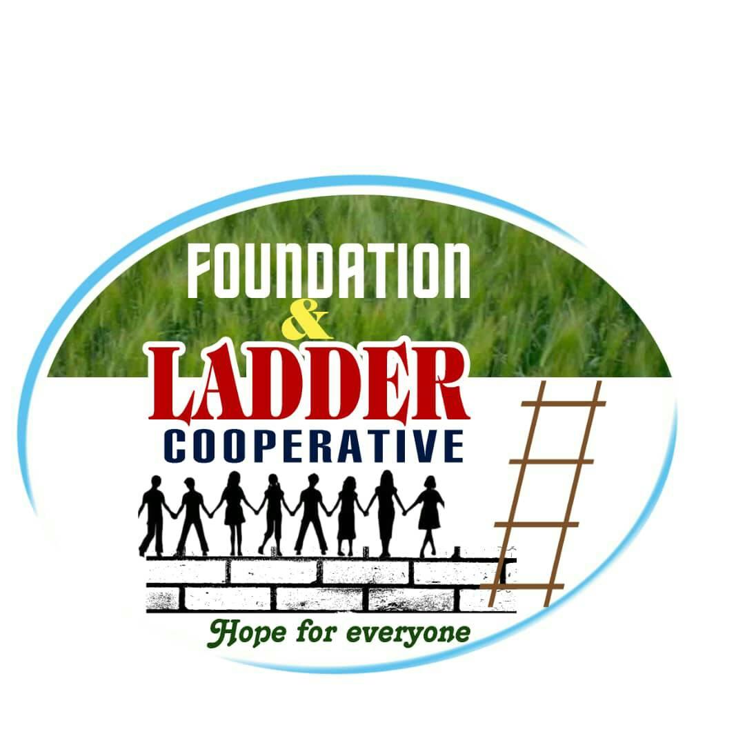Foundation & Ladder Cooperative