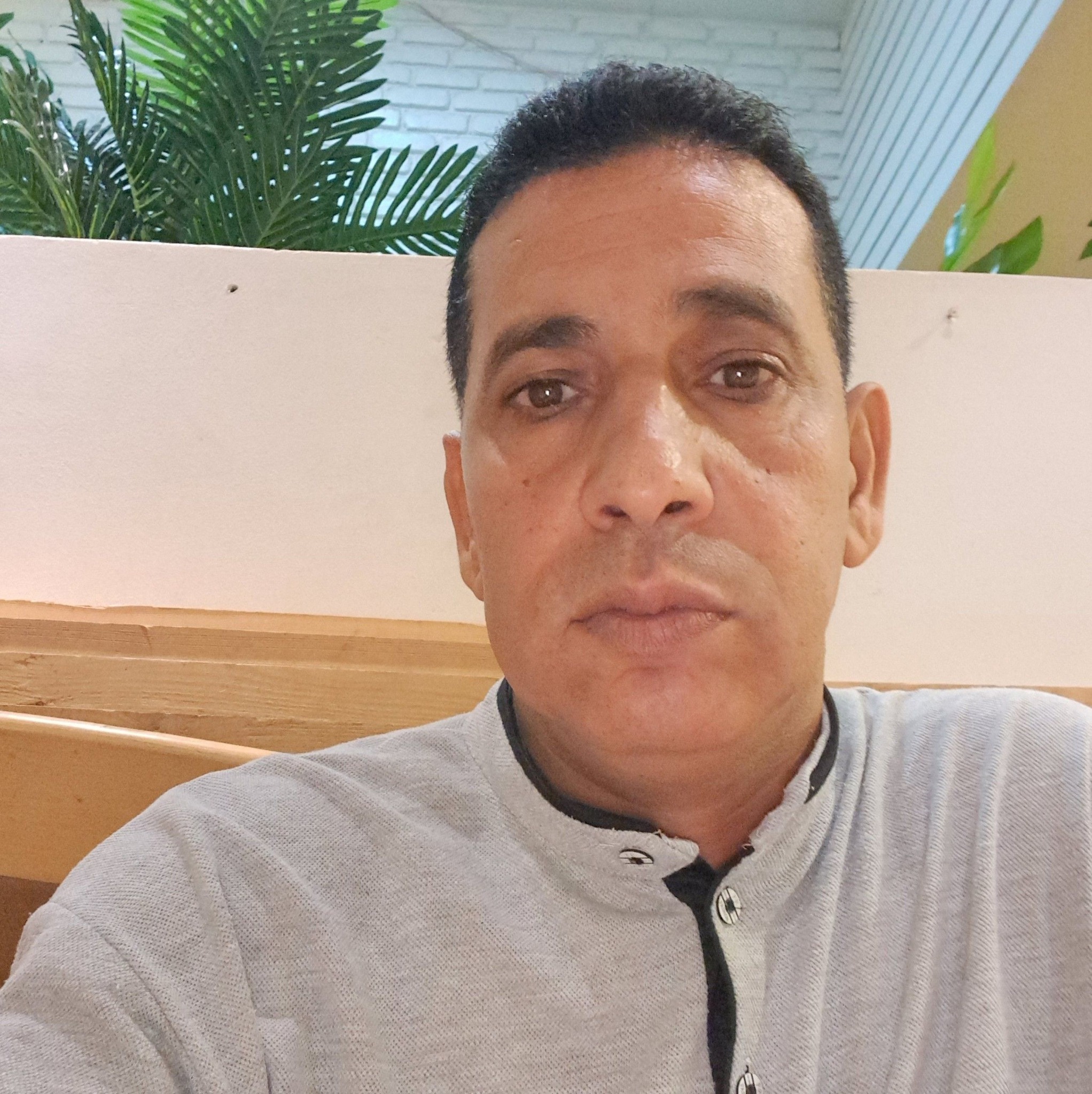 Elsayed Hafez