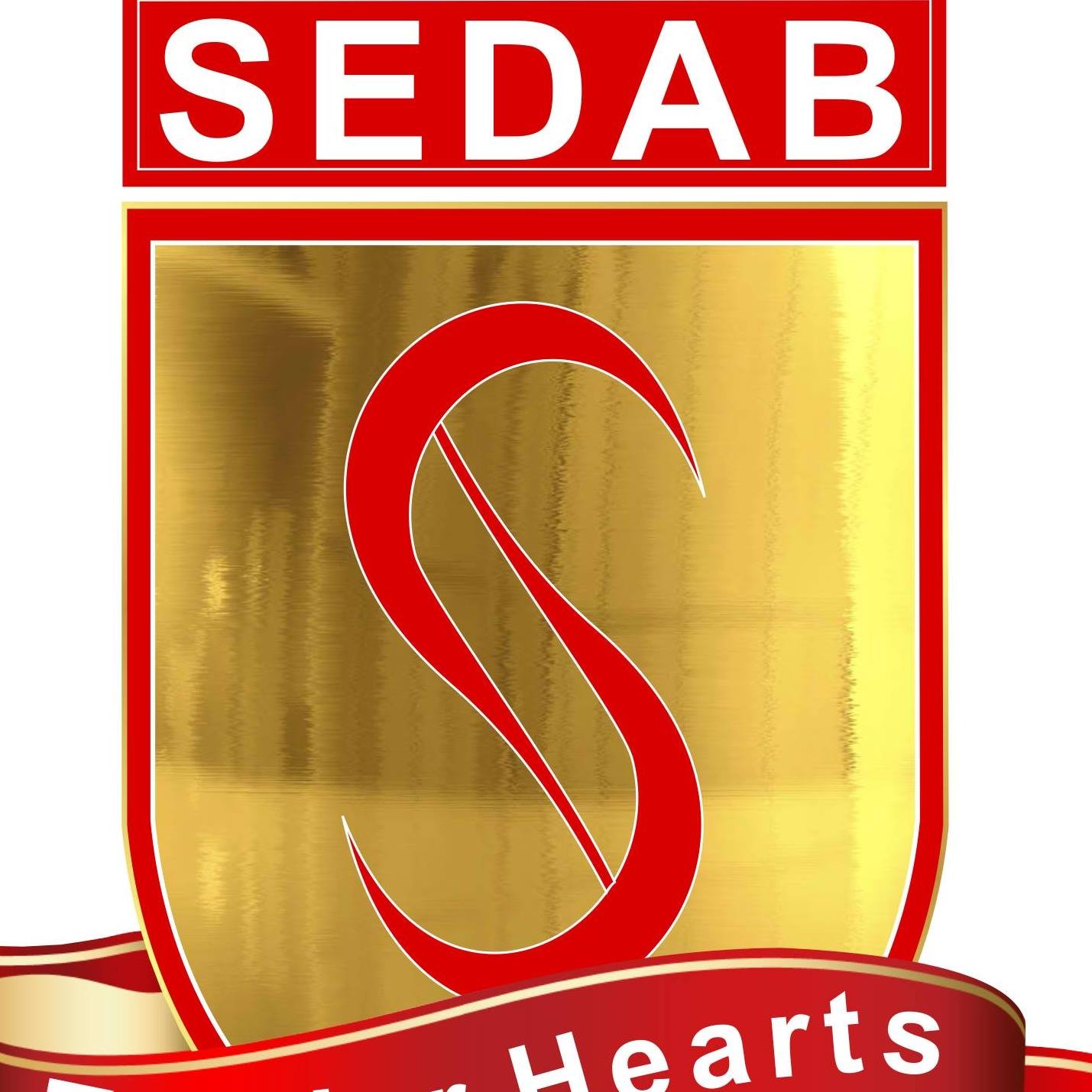 SEDAB Mentoring Initiative