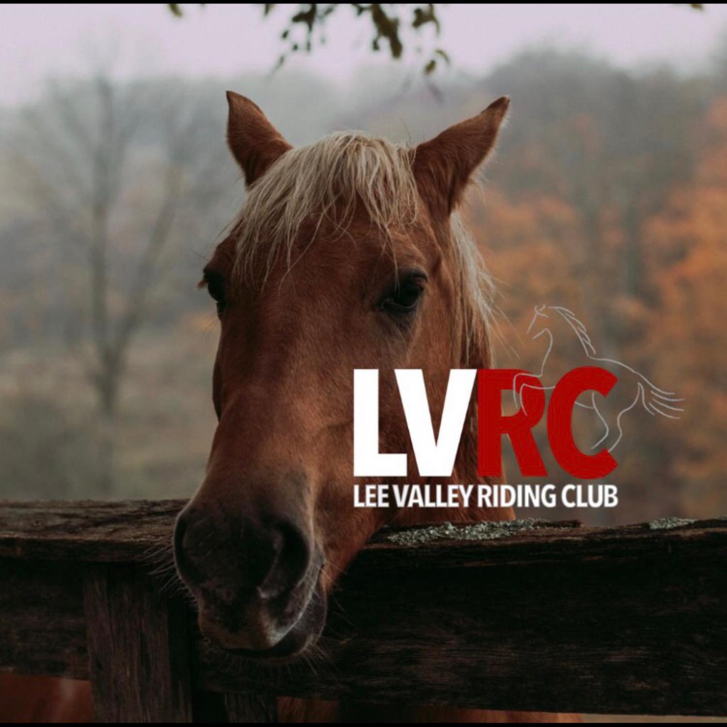 Lee Valley Riding Club | London