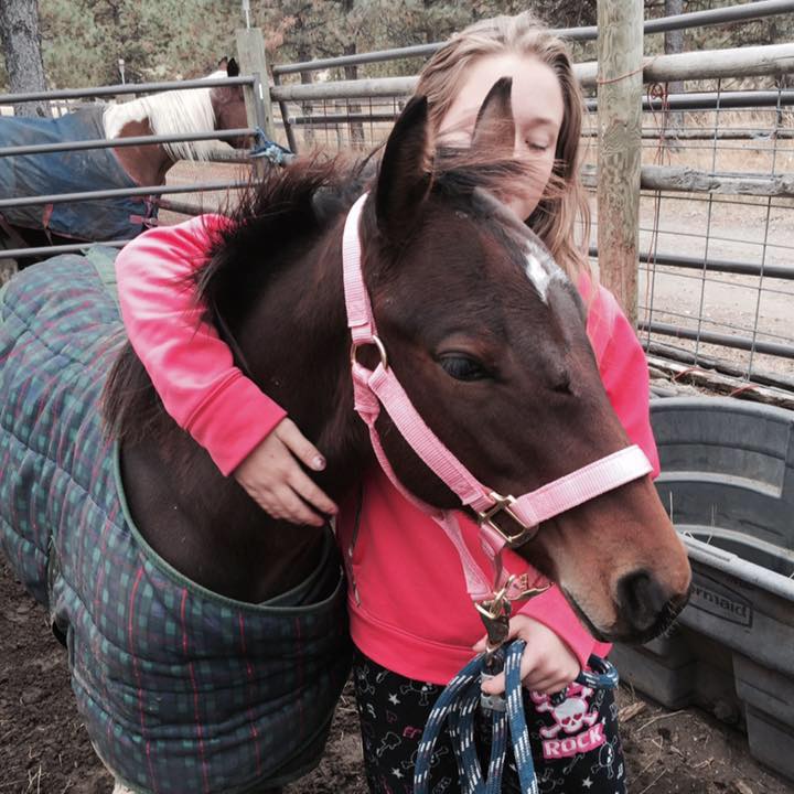 Rasmussen Rescue Ranch | Billings MT
