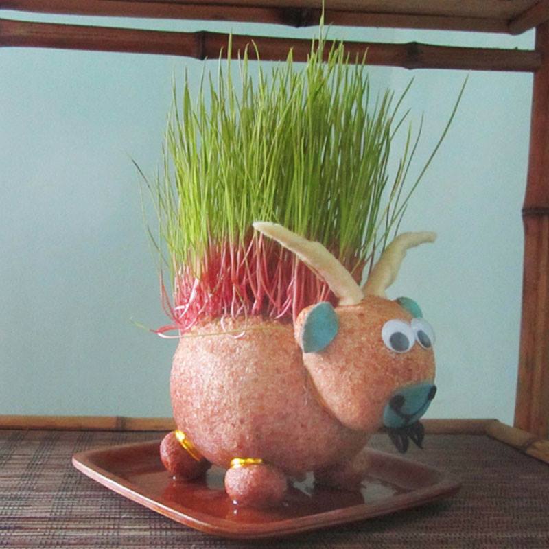 Boneka Horta