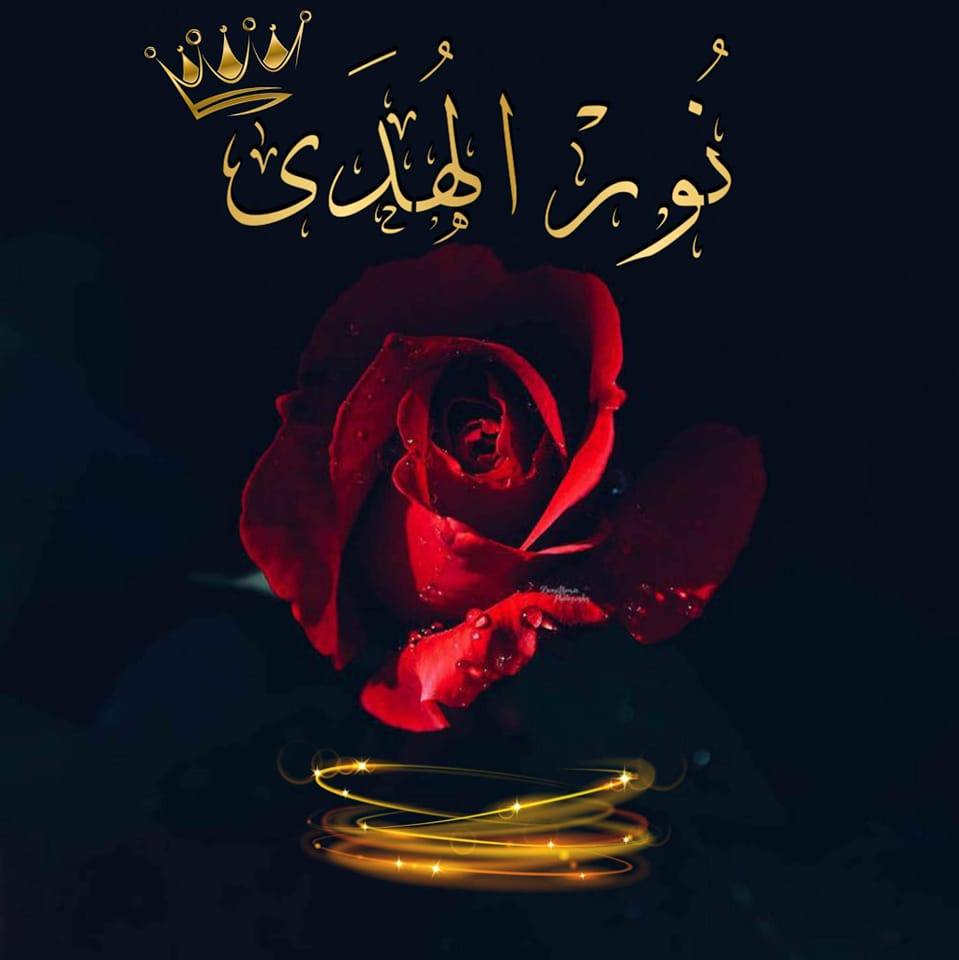 نور الهدى
