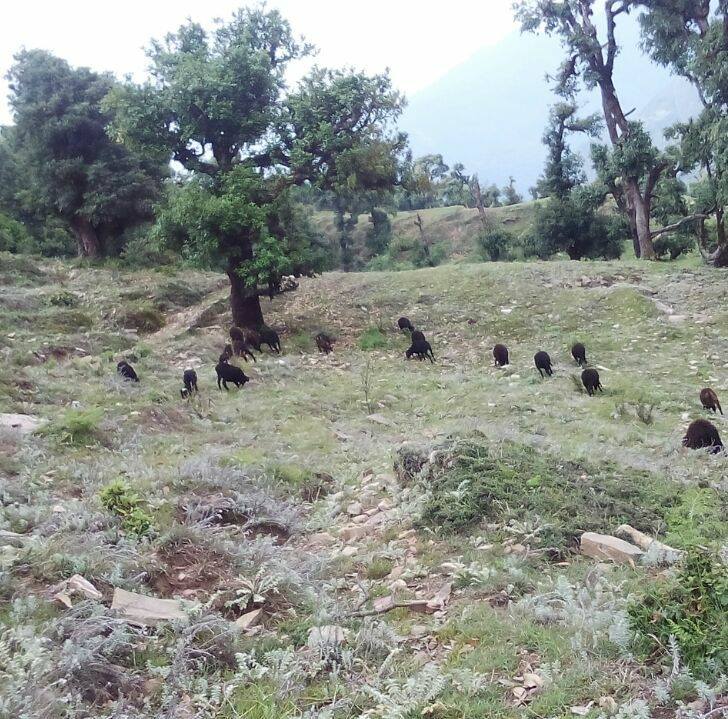 Myaru Uttrakhand