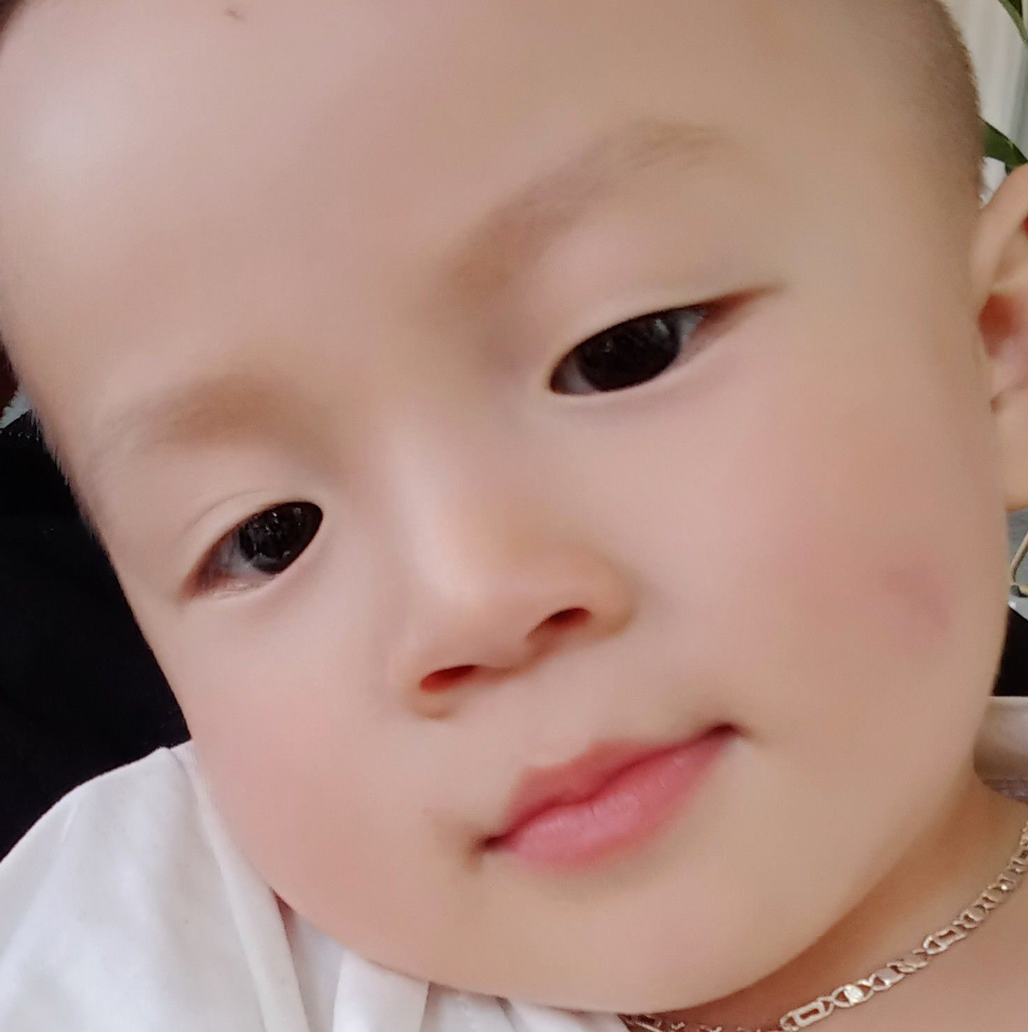 Nó xinh mà nó hách tuổi lắm ý 🙈 #xuhuong #dobo | Nga Phan