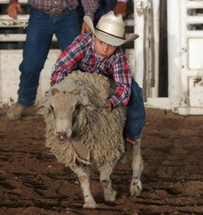Georgetown Rodeo