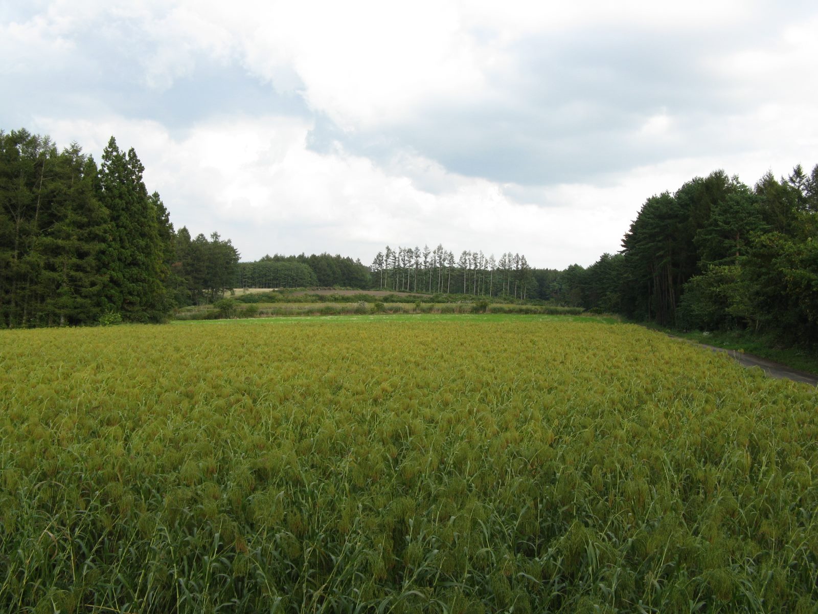 二戸高原農場