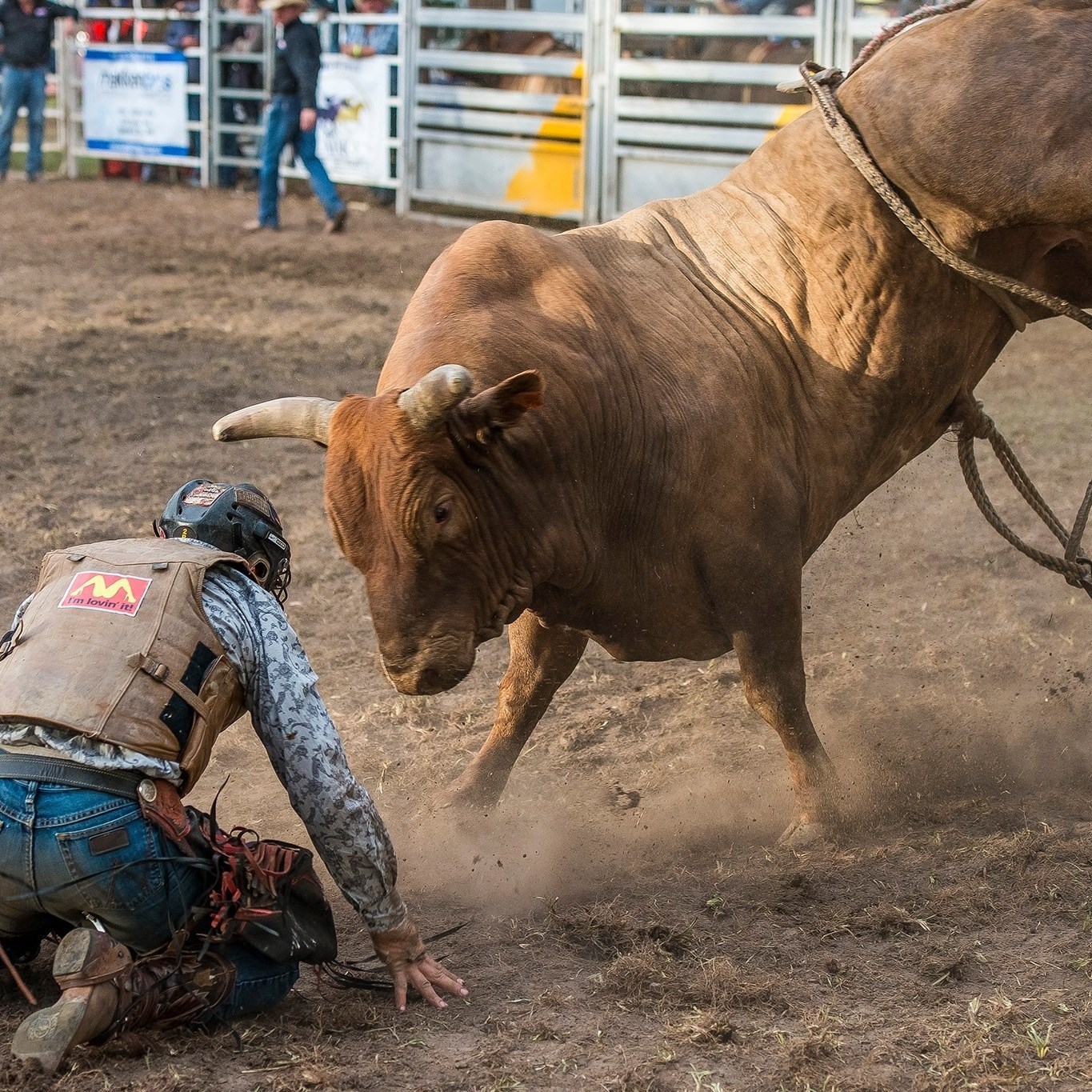We wish to THANK Beveridge's Burns... - Orbost Rodeo Inc. | Facebook