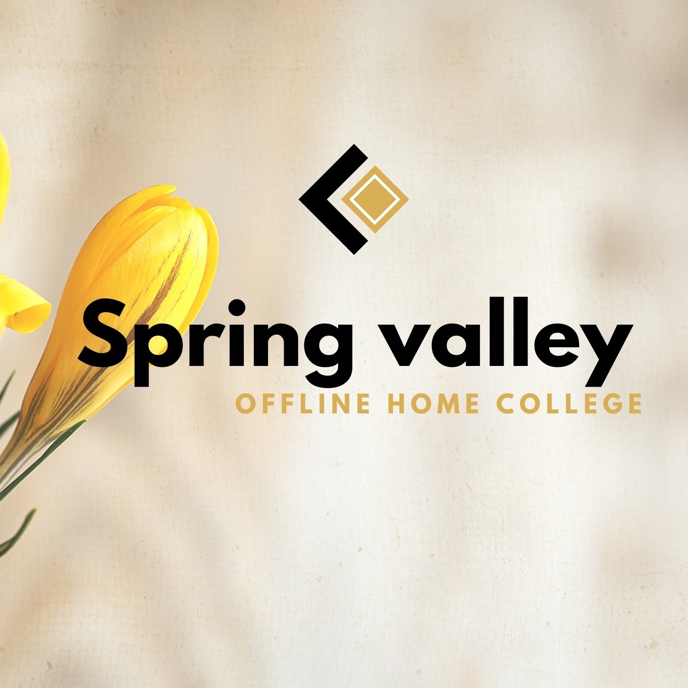 Spring Valley Offline Video Courses Collage | Nairobi