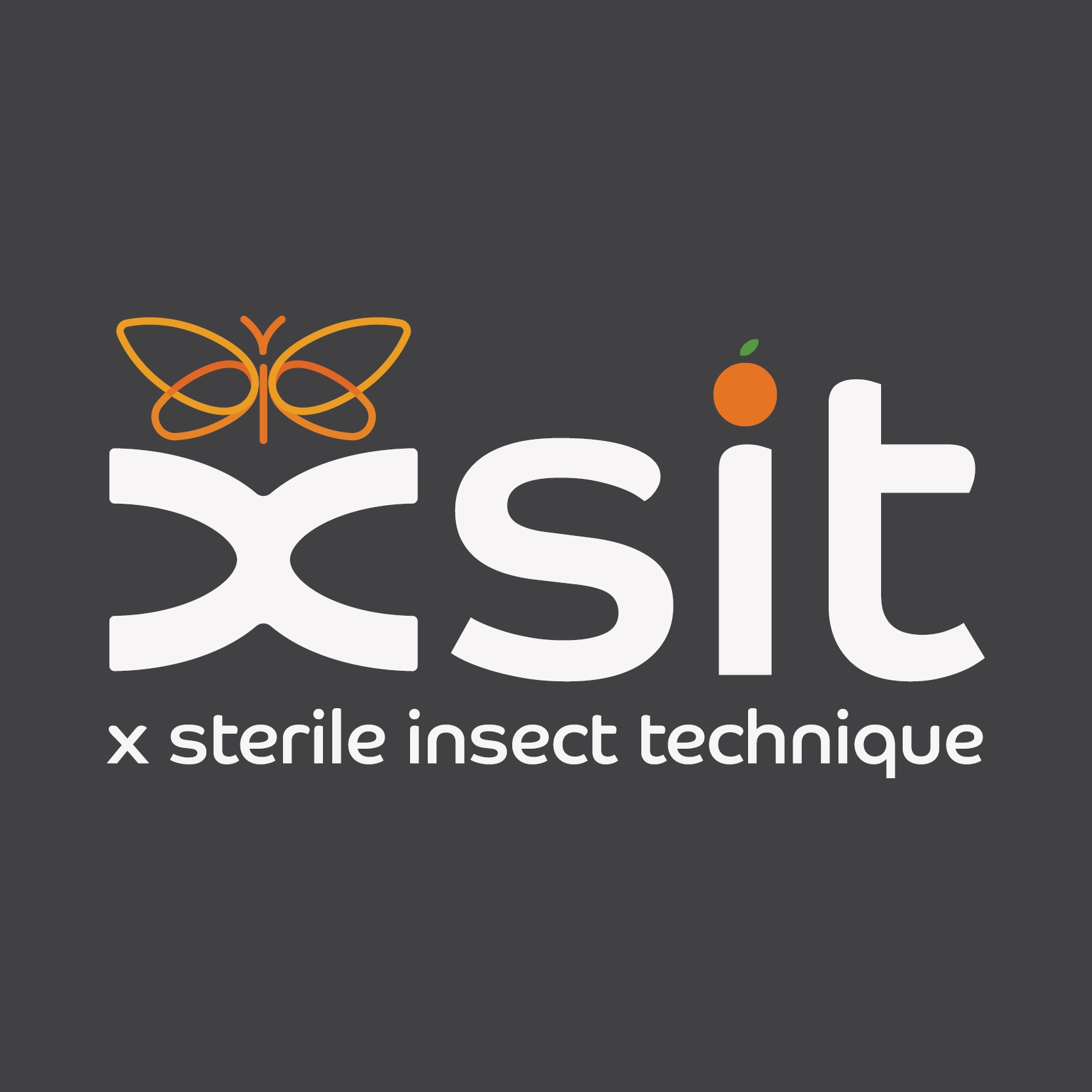 XSIT | Citrusdal
