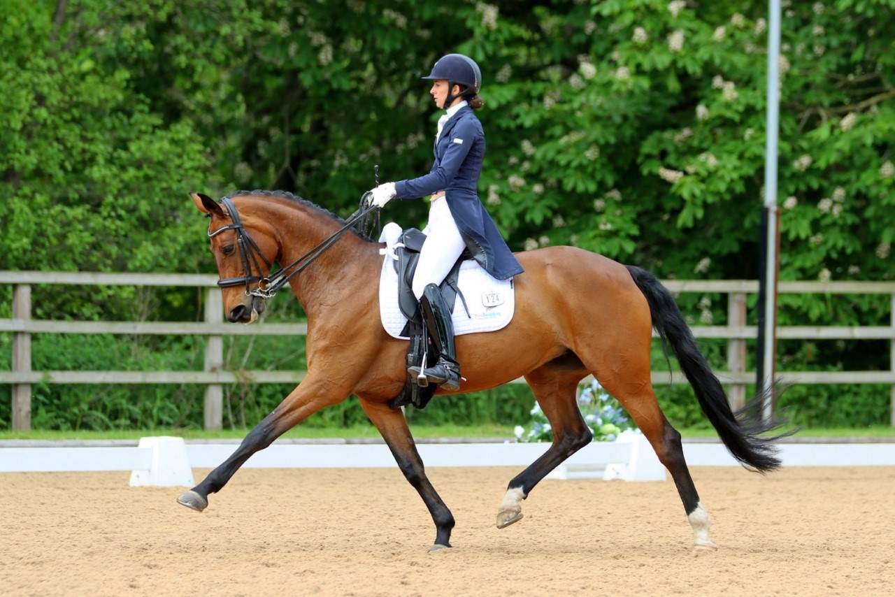 Sarah Fitton Dressage