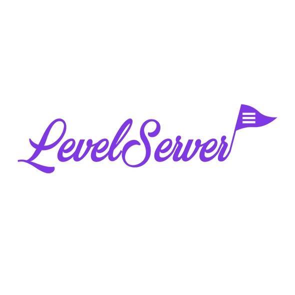 Level Server
