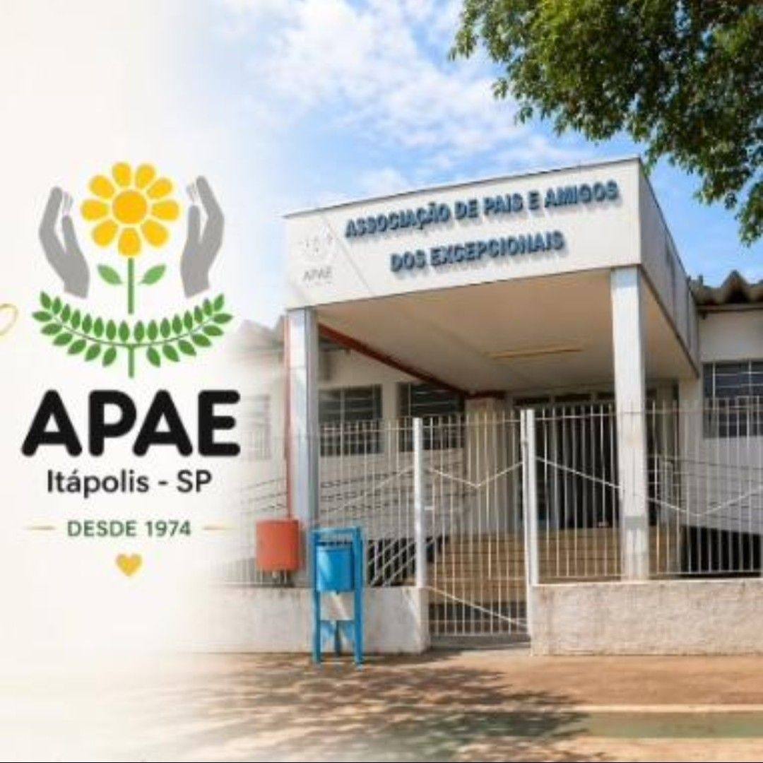 APAE - Nas APAEs, os psicólogos atuam lado a lado com famílias, alunos ...