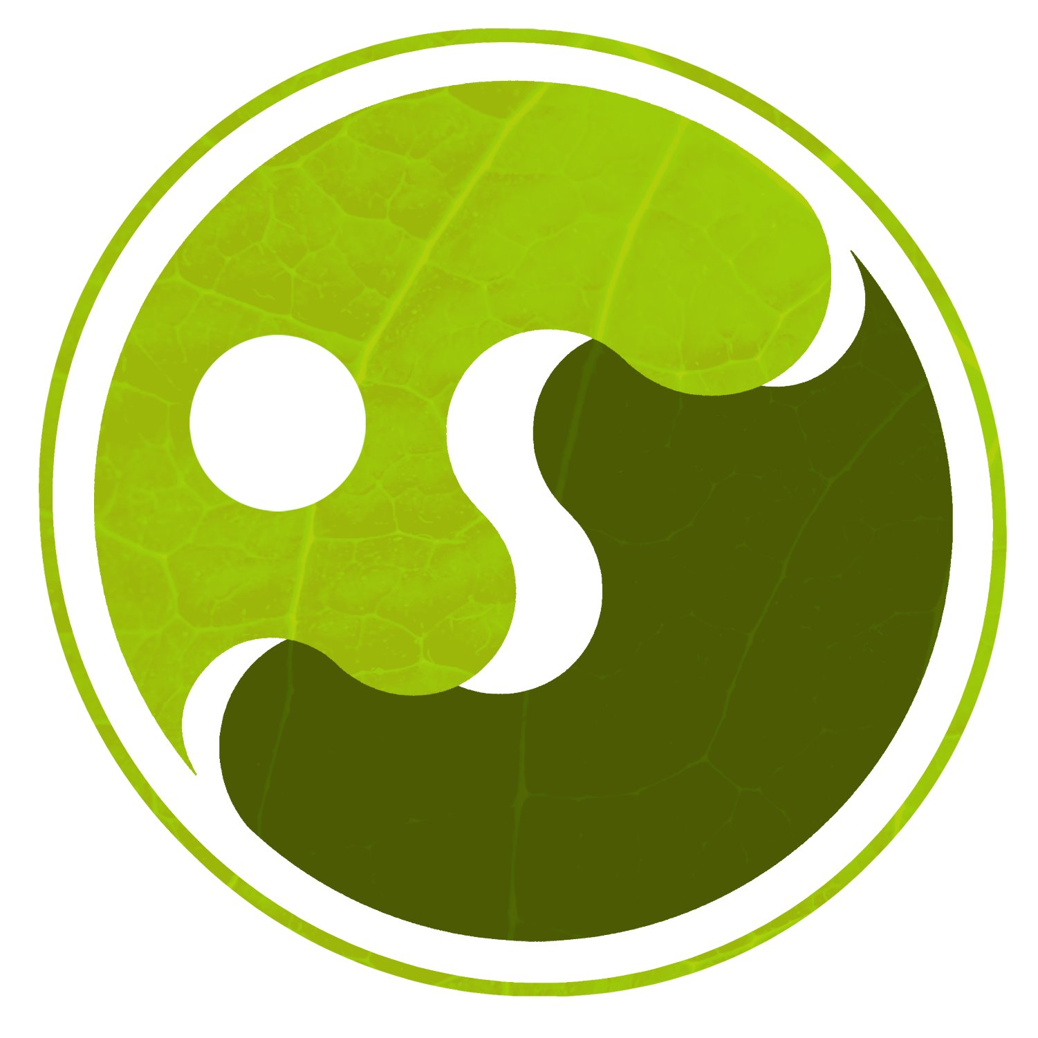 Soulscape - House of... - Soulscape - House of Healing