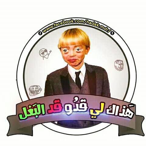 هذاك لي قدو قد لبغل