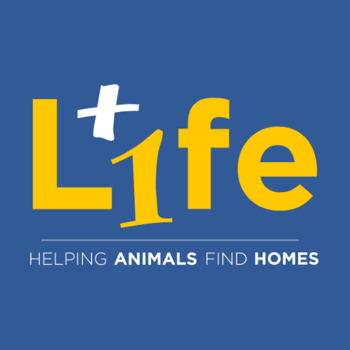 Life Plus 1