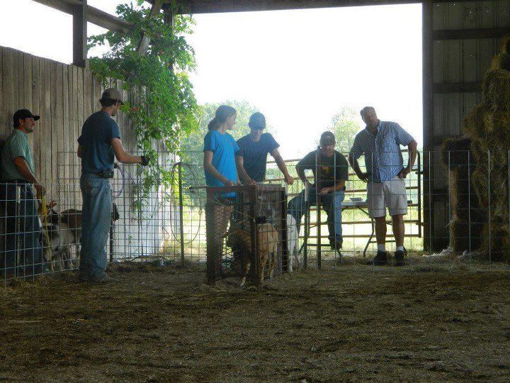 The Goat Roping Pen