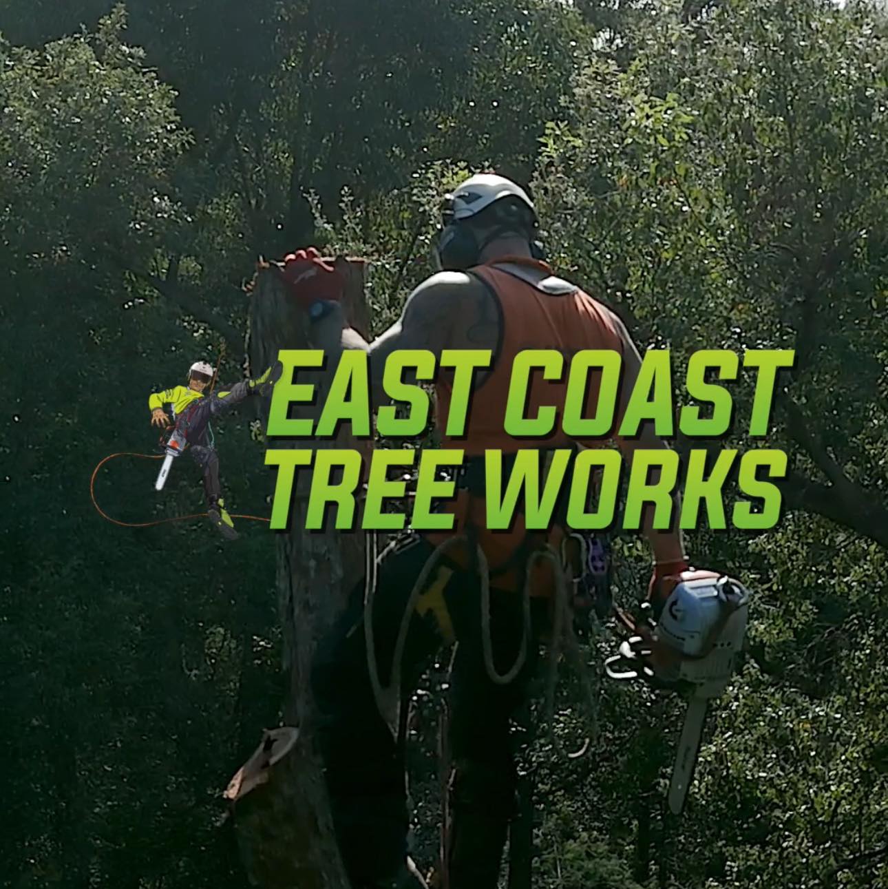East coast tree works | Sunshine Coast QLD
