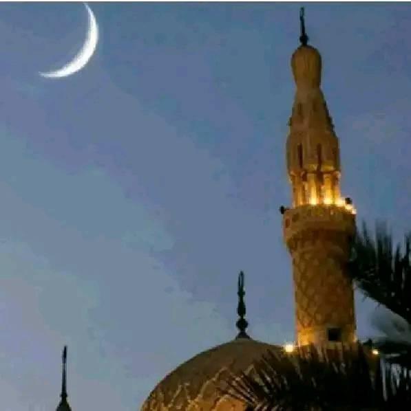 Sahihu Muslim 08/10/2026 | Dutsen Tanshi Majlis Bauchi