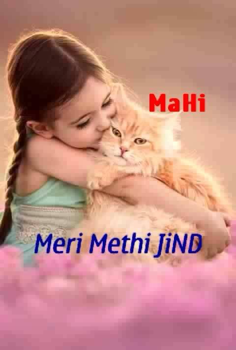 Meri Mithe jind