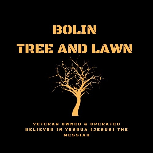 Bolin Tree & Lawn