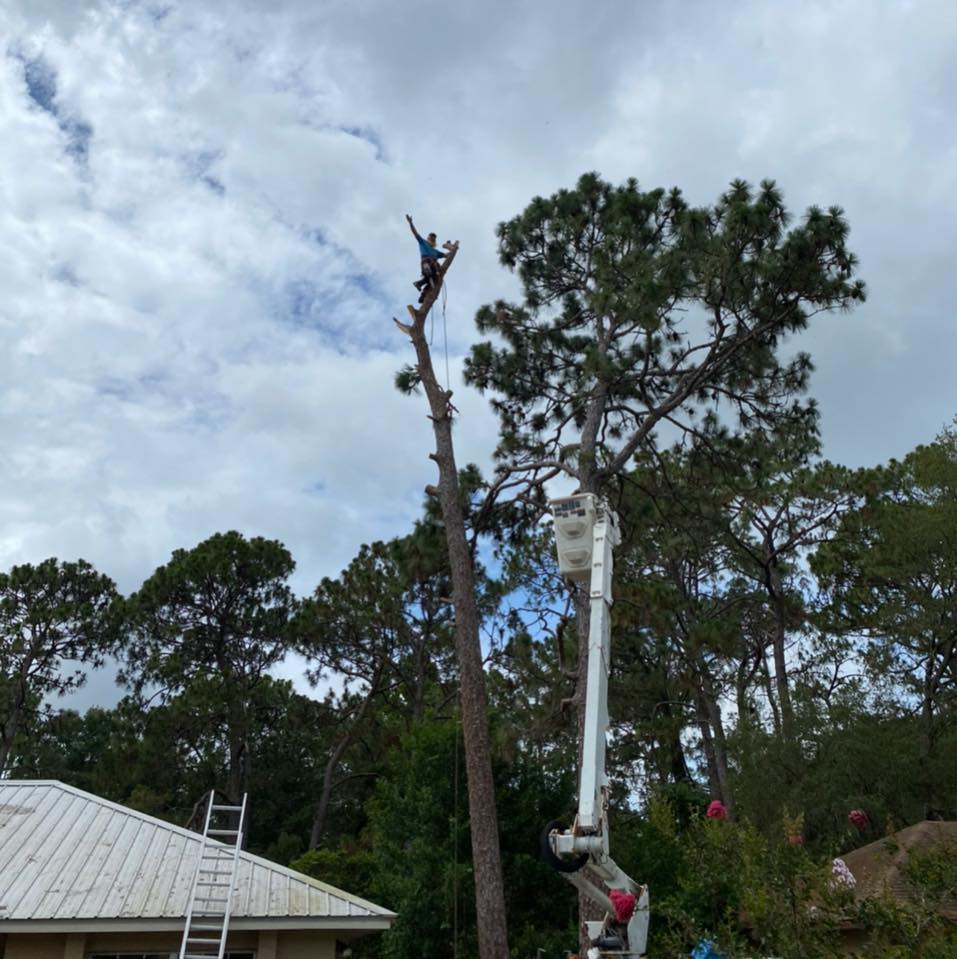 Bradley Roe Landscaping LLC | Springhill FL
