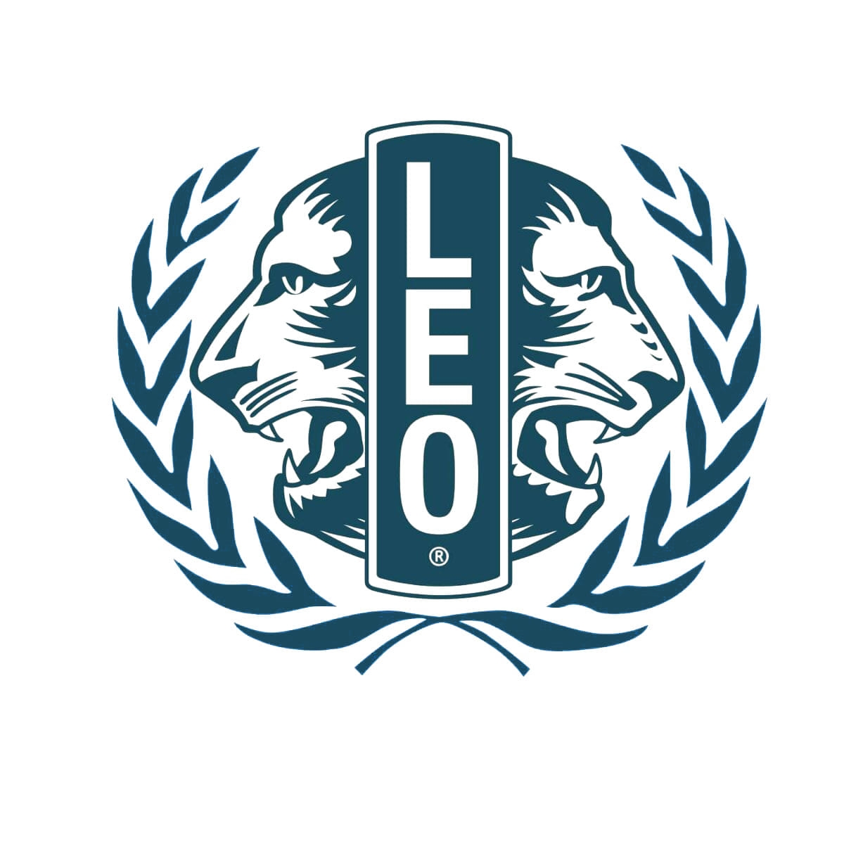 LEO MUN 2020
