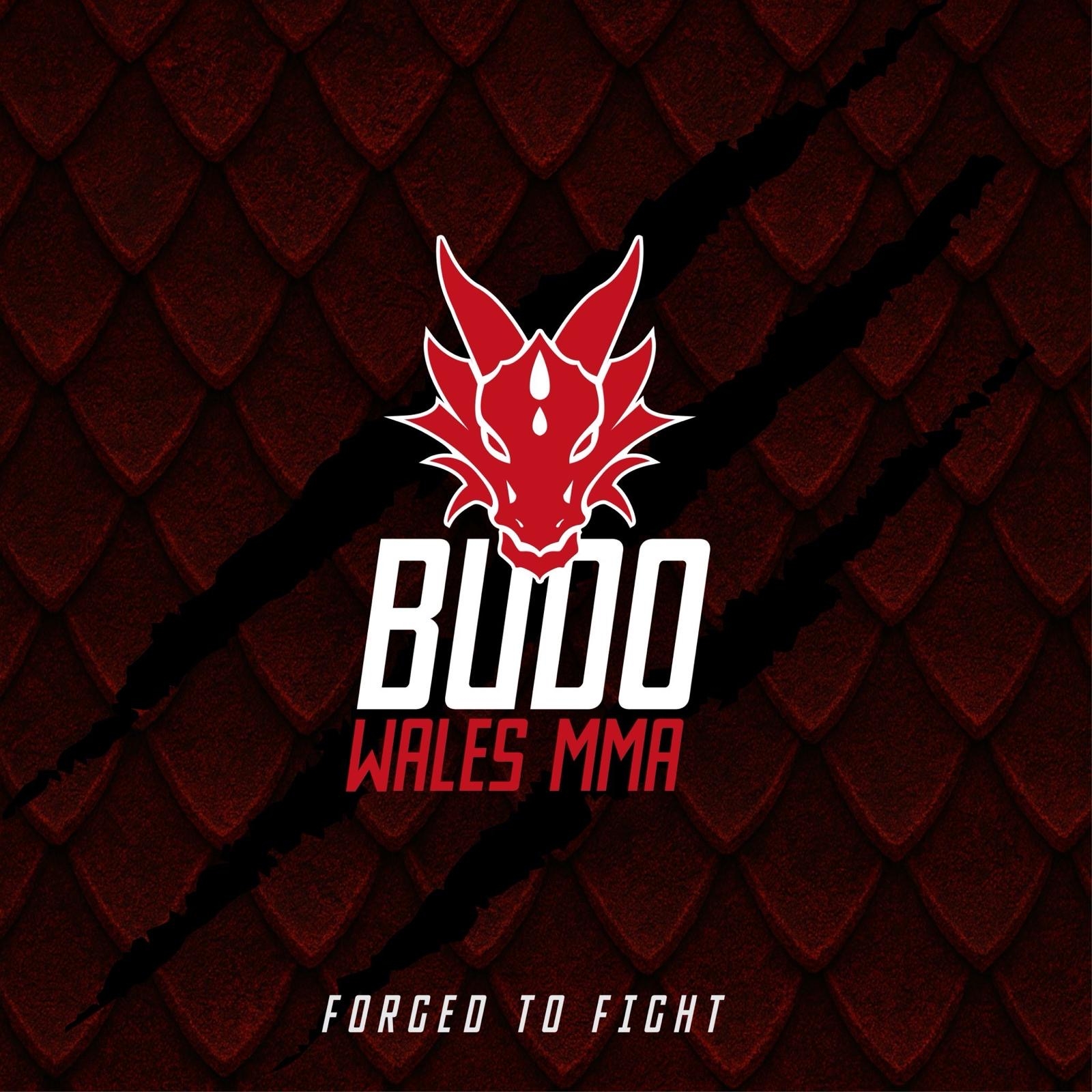 Heavy - With the dust settling on Budo 24, it's time to thank the guys ...