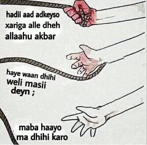 Somali Page Warya