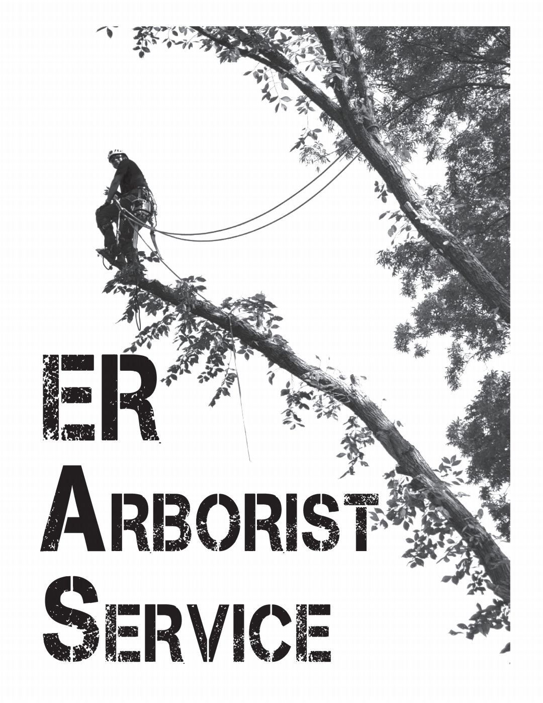 E R Arborist Service LLC