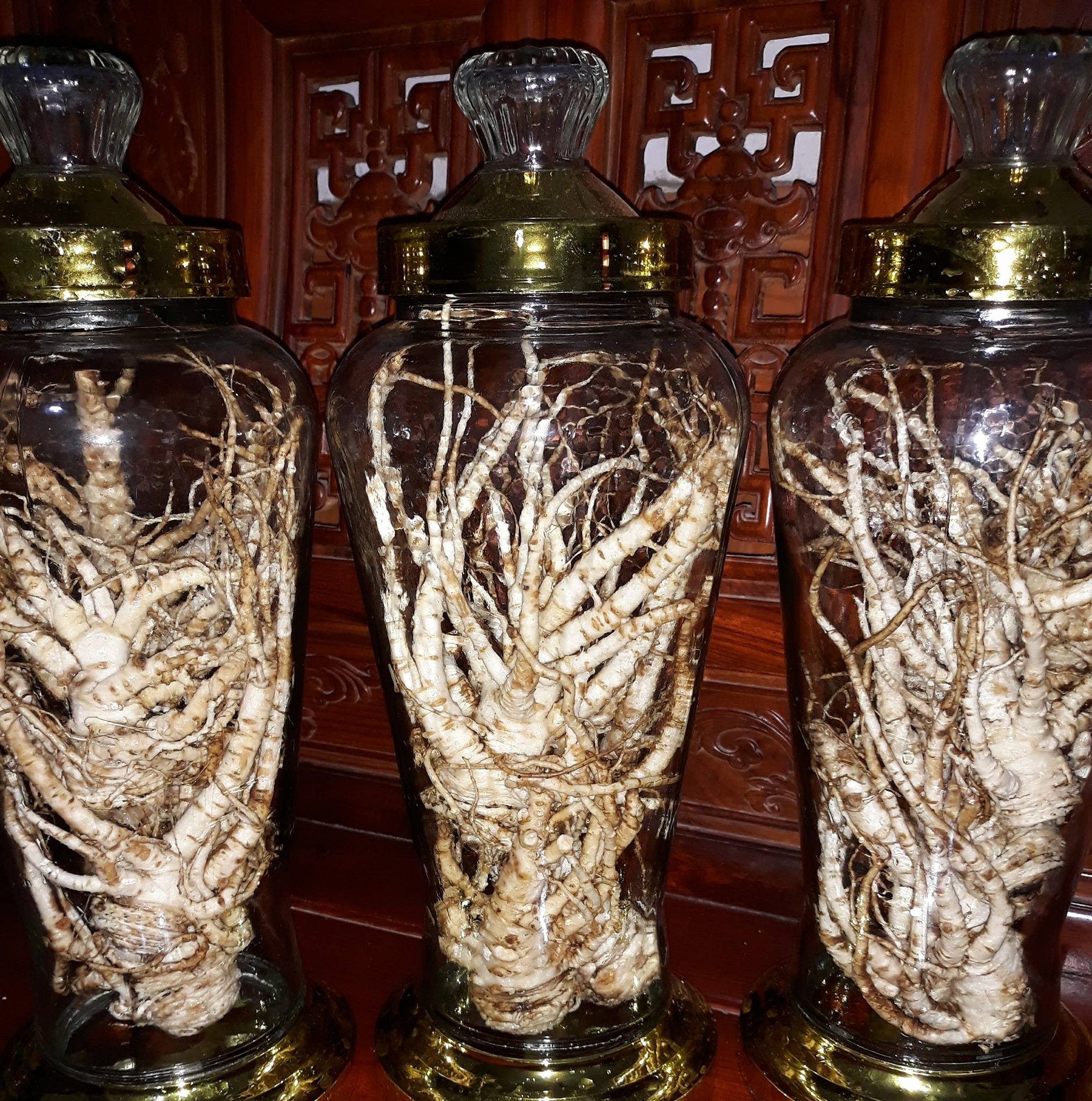 Đồ Rừng Ngâm Riệu