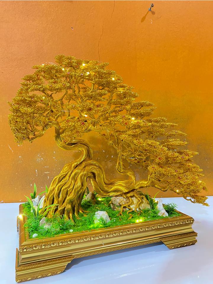 Bonsai Bút Lửa | Lào Cai