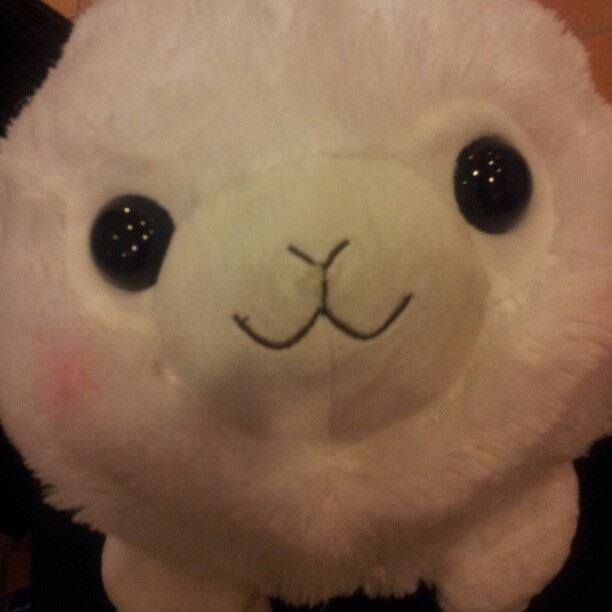 Sushi Fluffbert le Alpacka