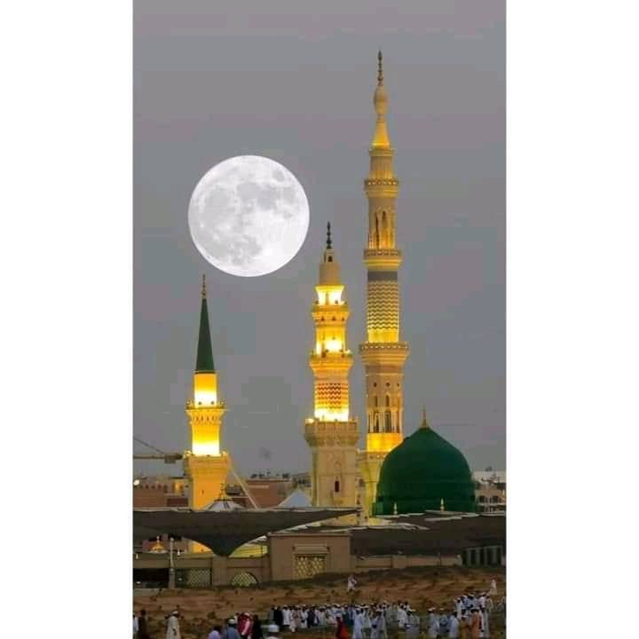 Pyara Madina