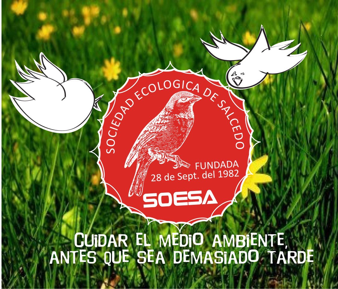 SOCIEDAD ECOLOGICA DE SALCEDO (SOESA) | Ojo de Agua