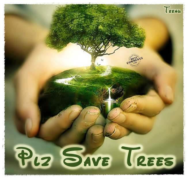 SAVE TREE
