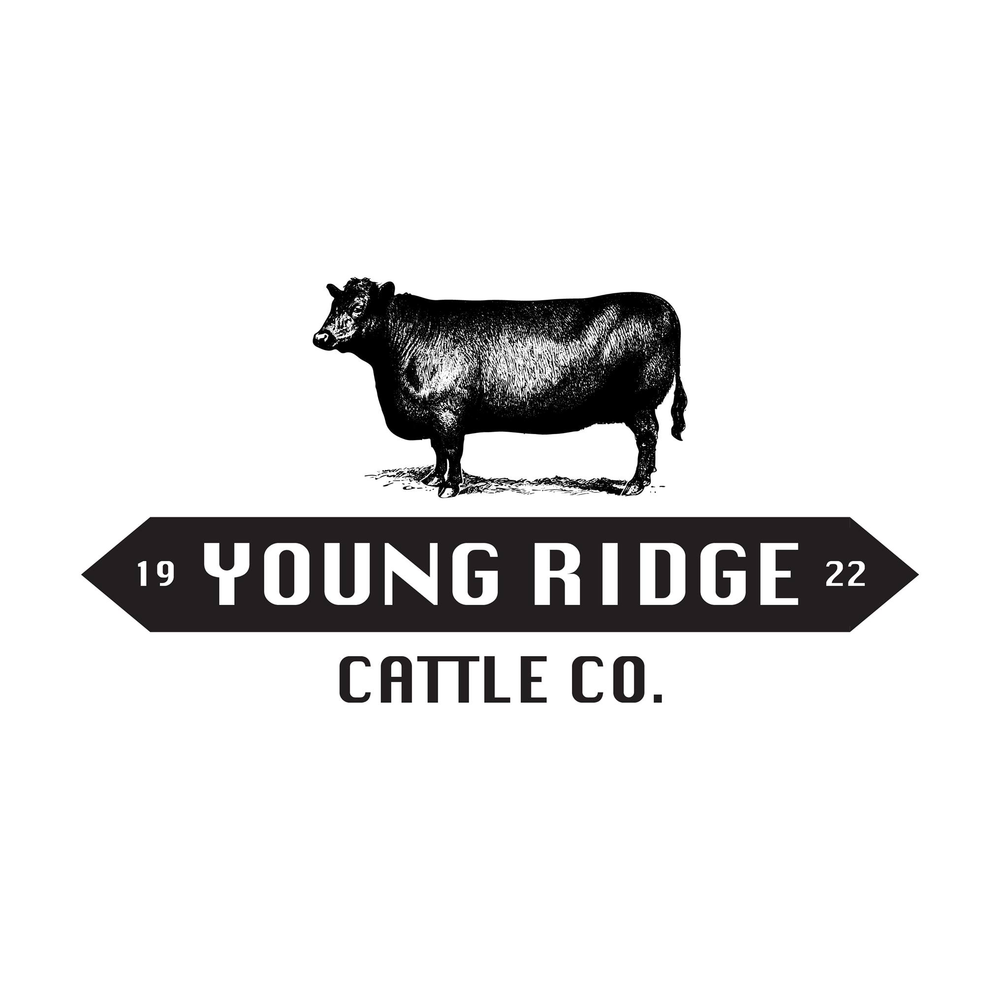 Young Ridge Cattle Co.