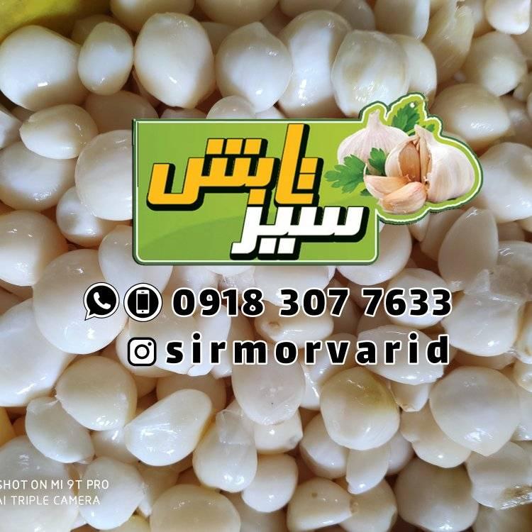 ثوم أبیض تابش