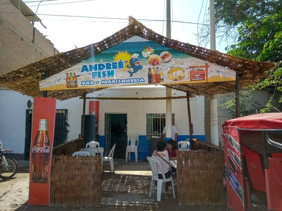 Andrée fish