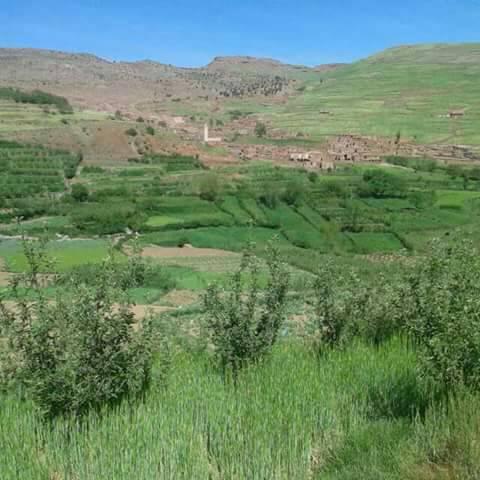 سبر تمنكار