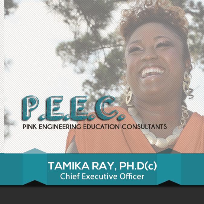Pink Engineering Education Consultants LLC | Locust Grove GA