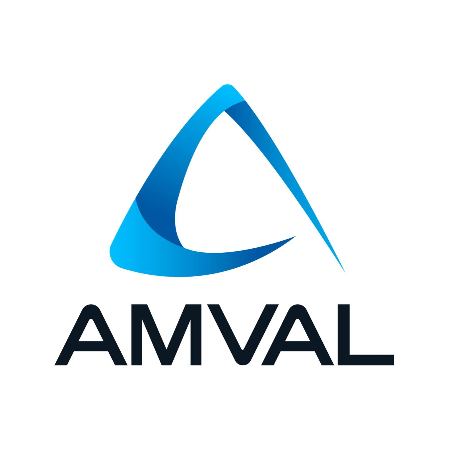 amval.co.za