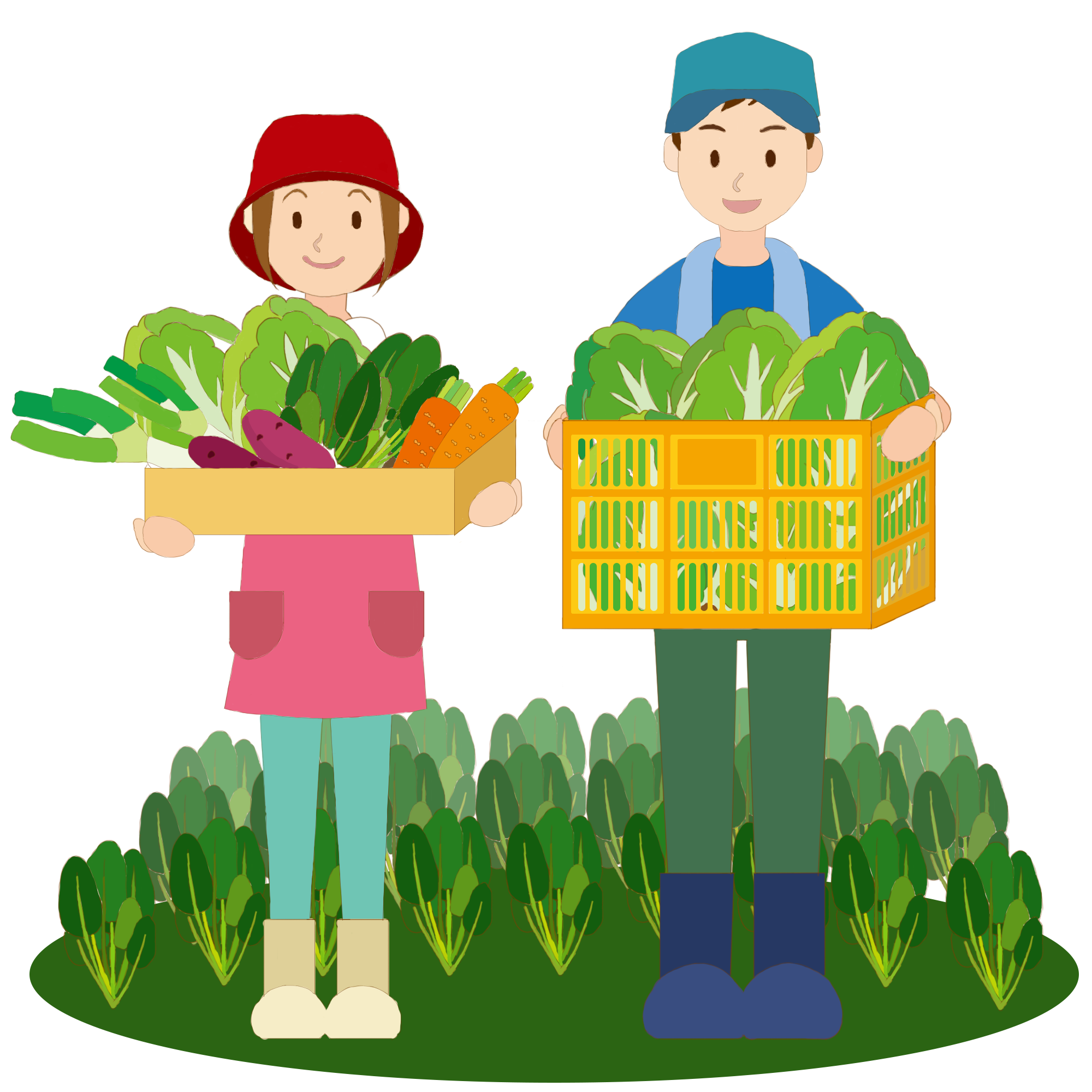 Vựa Rau Cô Sơn | Gia Kiem