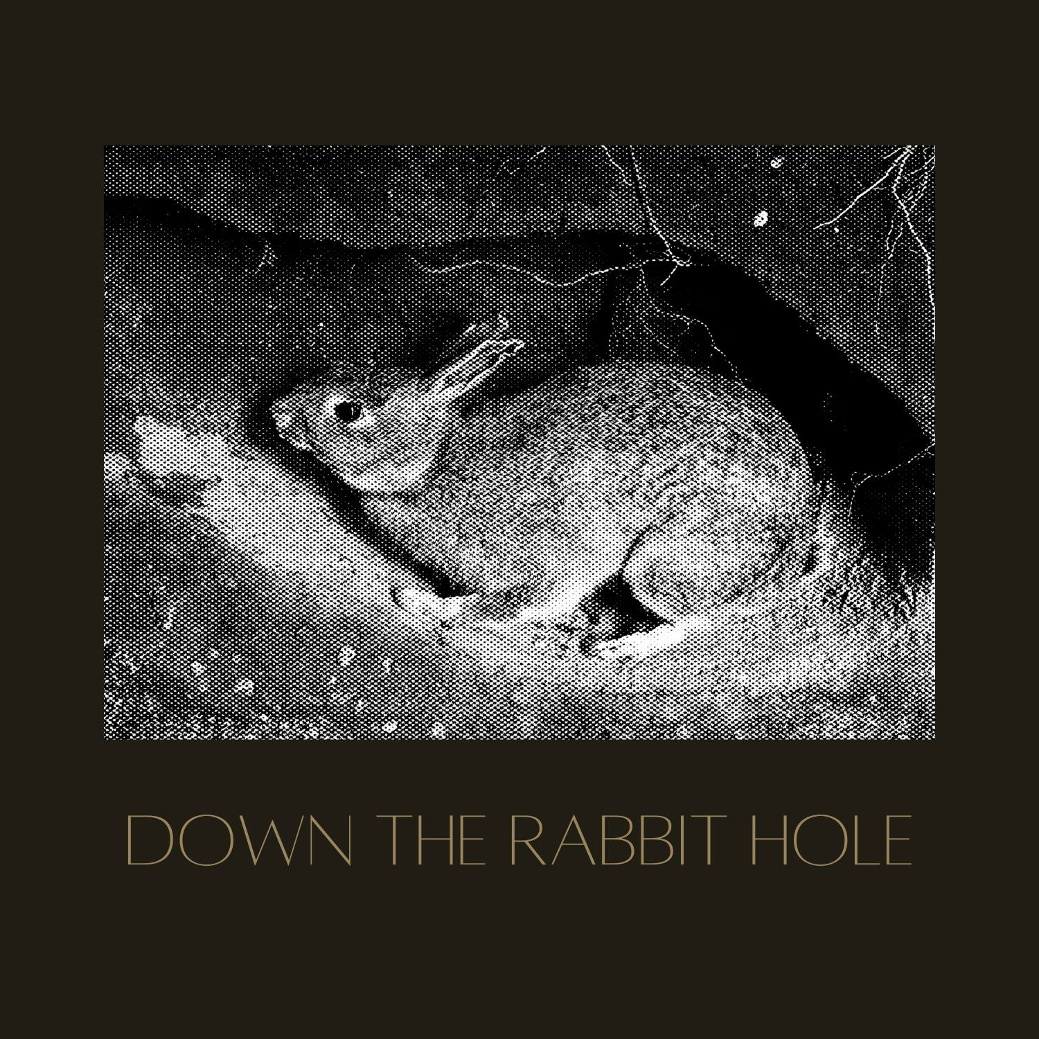 Rabbit Hole Curiosity Blog